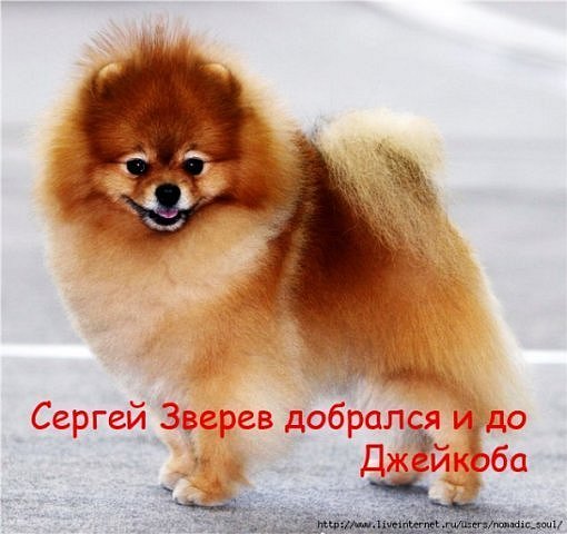 http://cs9617.vkontakte.ru/u55507163/112780497/x_9736afe3.jpg